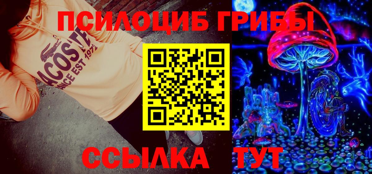 Псилоцибиновые грибы MAGIC MUSHROOMS Сокол