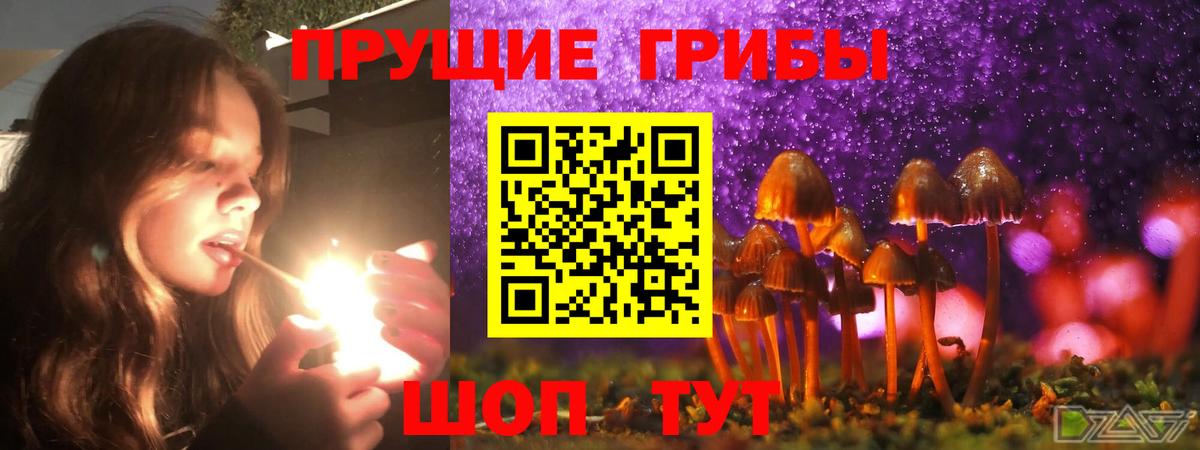 Псилоцибиновые грибы ЛСД  Вход с VPN  Сокол 