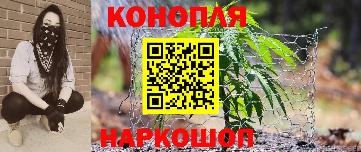 Бошки марихуана THC 21%  Марихуана марихуана  Сокол  МАРИХУАНА тримм  Вход с VPN  Бошки марихуана марихуана 